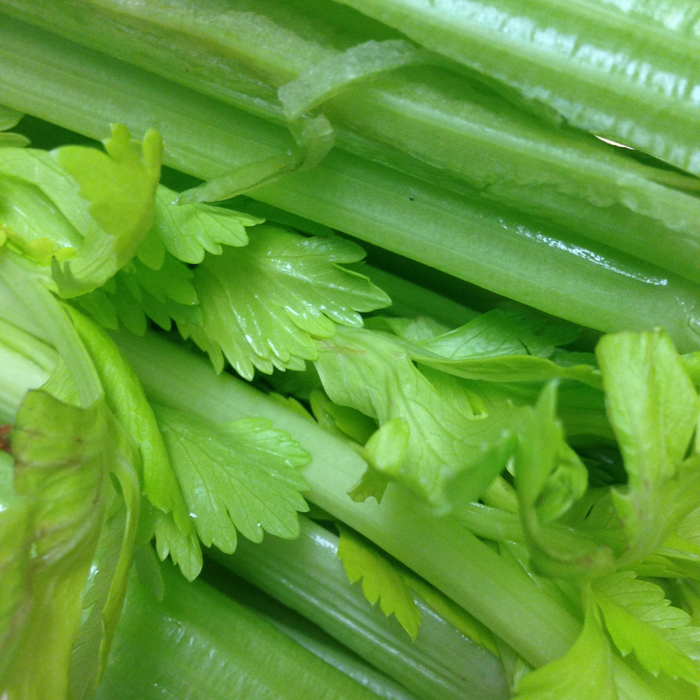 Celery Seed Essential Oil - MakeItNatural