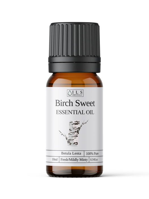 Birch Sweet Essential Oil