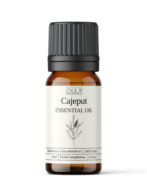 Cajeput Essential Oil - MakeItNatural