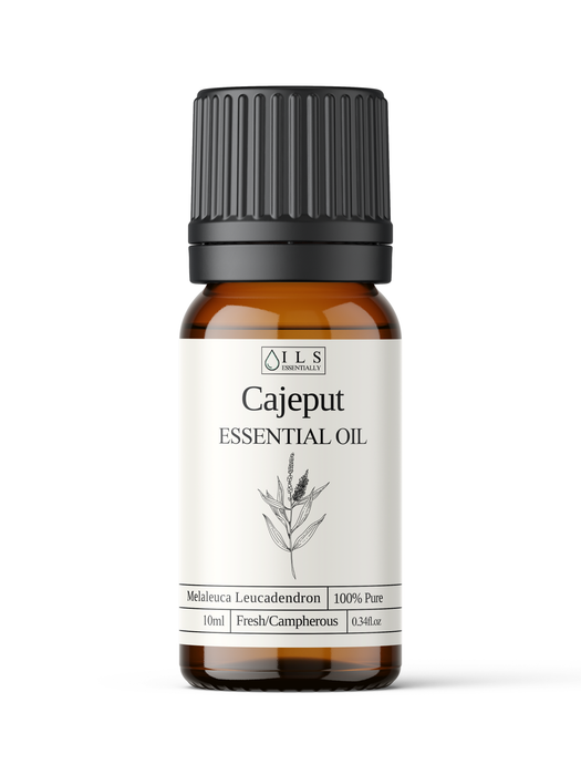 Cajeput Essential Oil - MakeItNatural