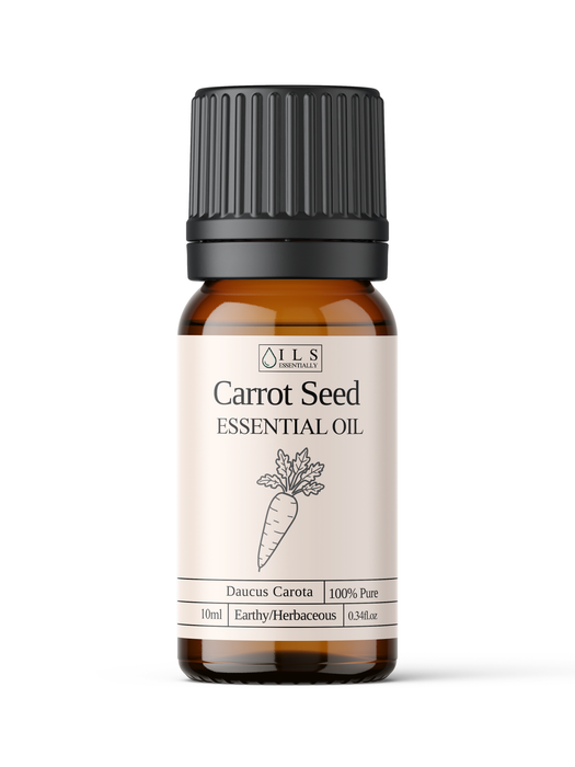 Carrot Seed Essential Oil - MakeItNatural