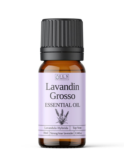 Lavandin Grosso Essential Oil - MakeItNatural