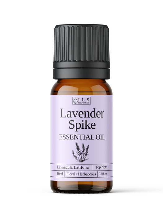 Lavender Spike Essential Oil - MakeItNatural