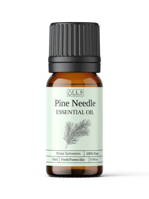 Pine Needle Essential Oil - MakeItNatural