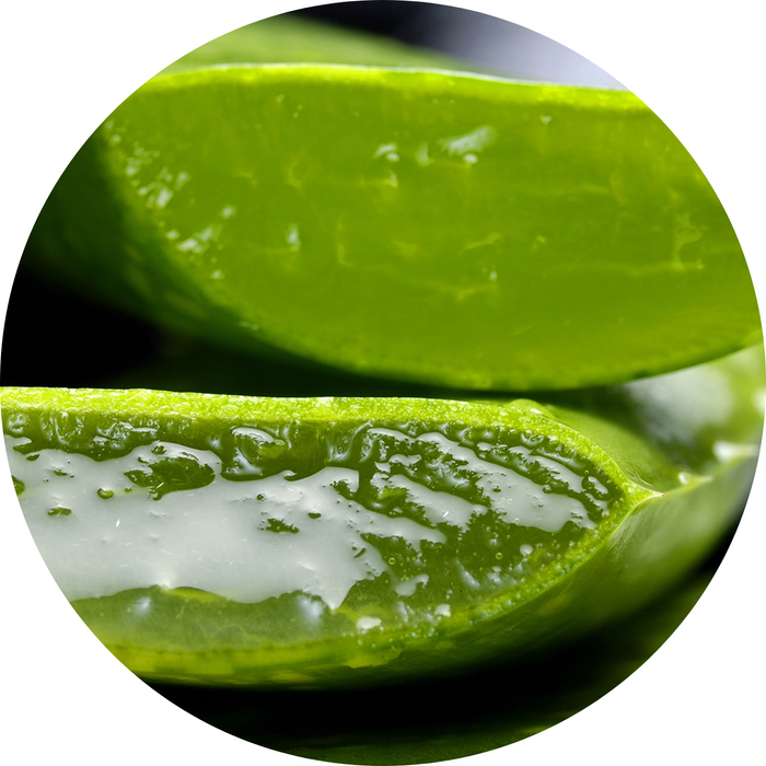 Aloe Vera Leaf Gel