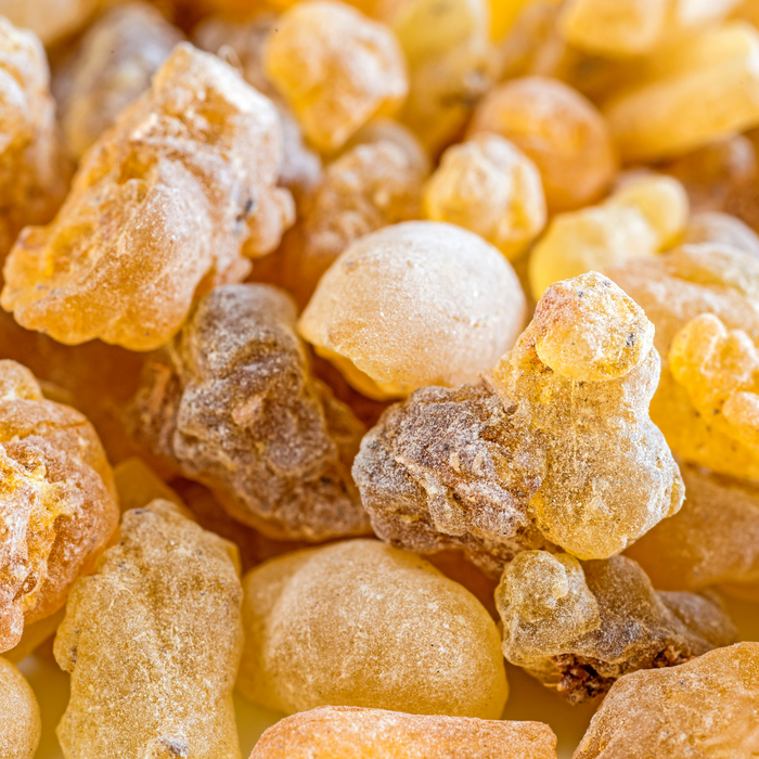 Frankincense Serrata Essential Oil - MakeItNatural