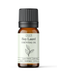 Bay Laurel Essential Oil - MakeItNatural
