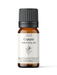 Cajeput Essential Oil - MakeItNatural