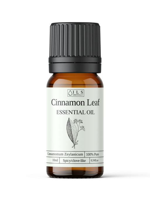Cinnamon Leaf Essential Oil - MakeItNatural