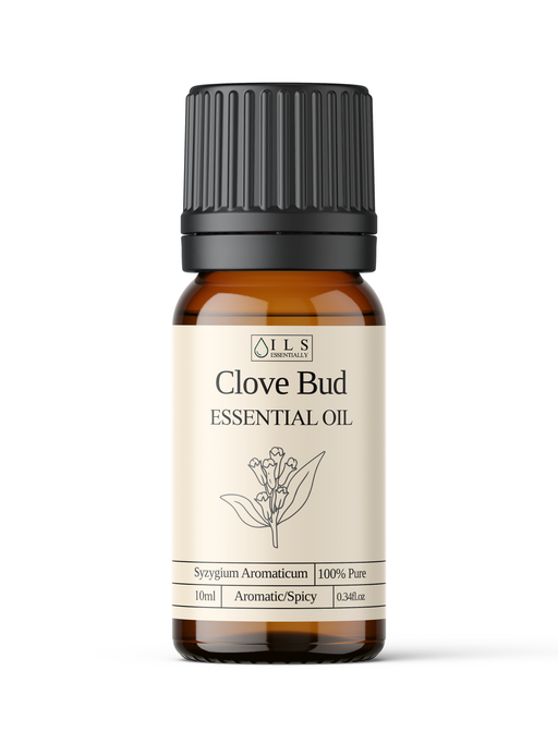 Clove Bud Essential Oil - MakeItNatural