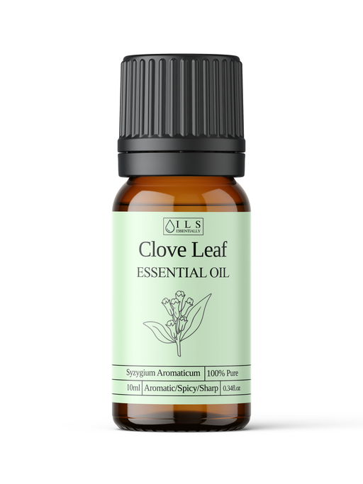 Clove Leaf Essential Oil - MakeItNatural