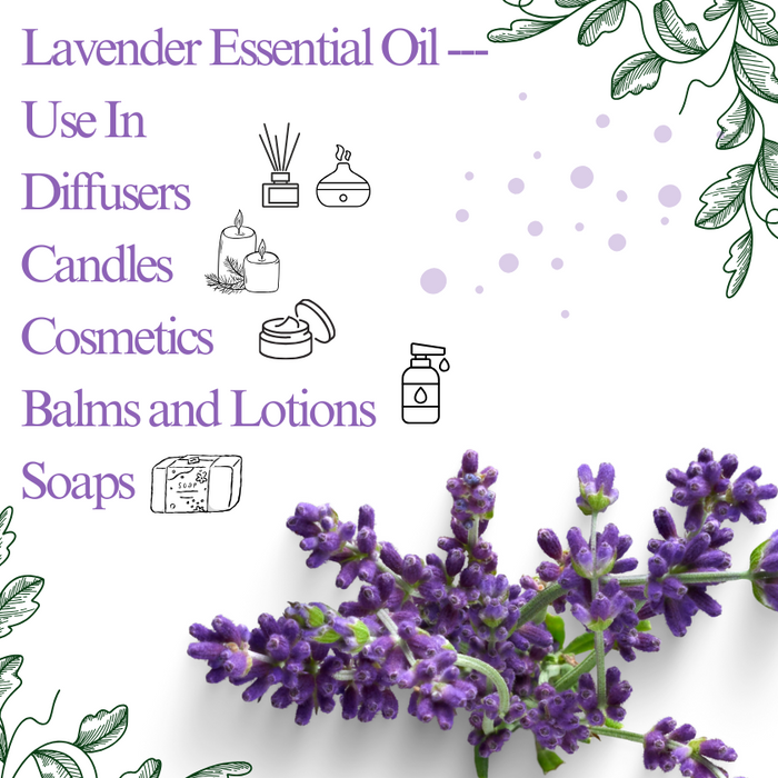 Lavender English Essential Oil - MakeItNatural