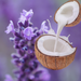 Coconut Milk & Lavender Fragrance Oil - MakeItNatural