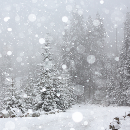 Winter Wonderland Fragrance Oil - MakeItNatural