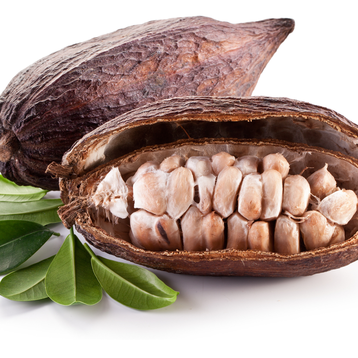 Cocoa Butter Refined - MakeItNatural