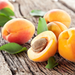 Apricot Kernel Carrier Oil Cold Pressed - MakeItNatural