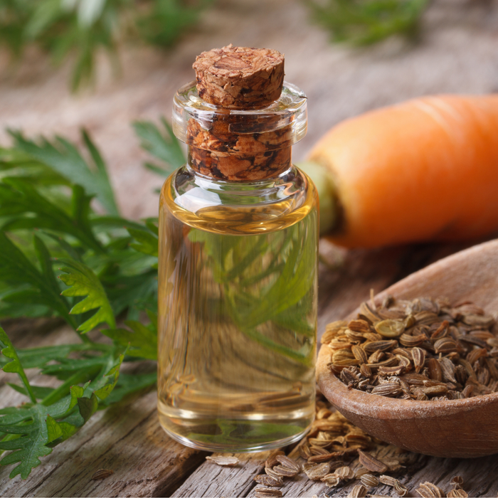 Carrot Seed Carrier Oil Cold Pressed - MakeItNatural
