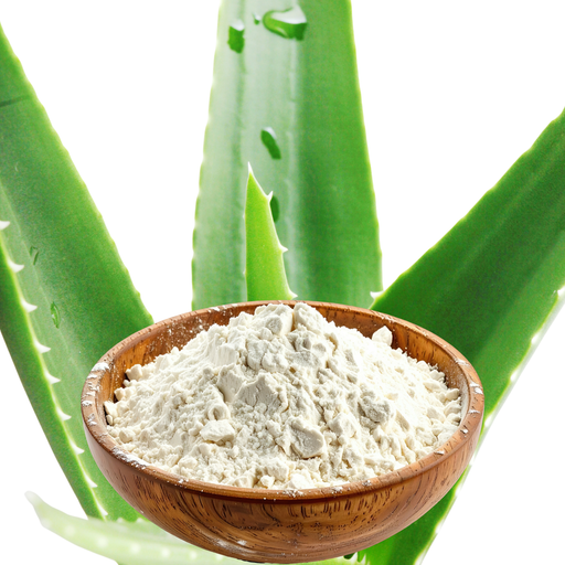 Aloe Vera Powder Organic 200:1 - MakeItNatural