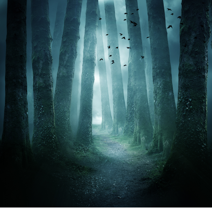 Haunted Wood Fragrance Oil - MakeItNatural