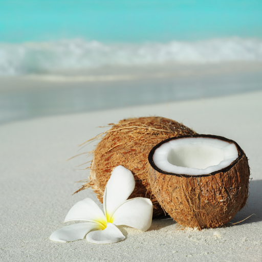Coconut Island Fragrance Oil - MakeItNatural