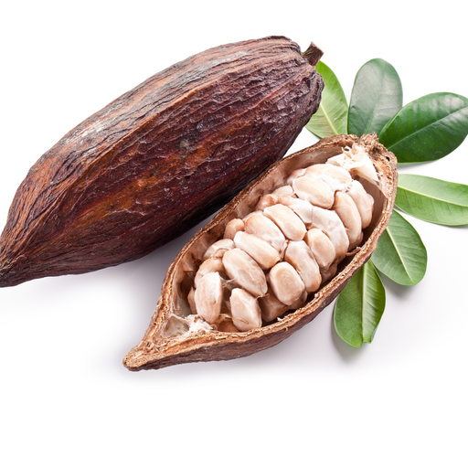 Cocoa Butter Organic Raw Unrefined - MakeItNatural