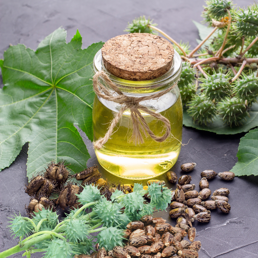 Castor Carrier Oil Organic Cold Pressed - MakeItNatural