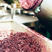 Olive Pomace Virgin Cold Pressed - MakeItNatural