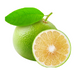 Grapefruit Essential Oil - MakeItNatural