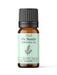 Fir Needle Essential Oil - MakeItNatural