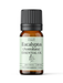 Eucalyptus Australiana Essential Oil - MakeItNatural