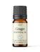 Ginger Essential Oil - MakeItNatural