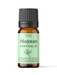 Marjoram Essential Oil - MakeItNatural
