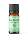 Pine Needle Essential Oil - MakeItNatural