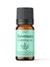 Ravensara Wild Essential Oil - MakeItNatural