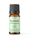 Spearmint Essential Oil - MakeItNatural