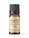 Tangerine Essential Oil - MakeItNatural