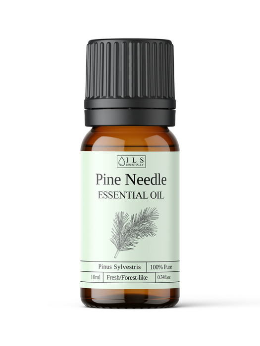 Pine Needle Essential Oil - MakeItNatural