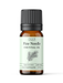Pine Needle Essential Oil - MakeItNatural