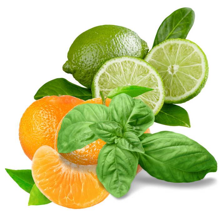 Lime, Basil and Mandarin Fragrance Oil - MakeItNatural