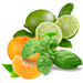 Lime, Basil and Mandarin Fragrance Oil - MakeItNatural
