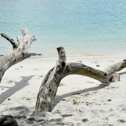 Sea Salt and Driftwood Fragrance Oil - MakeItNatural