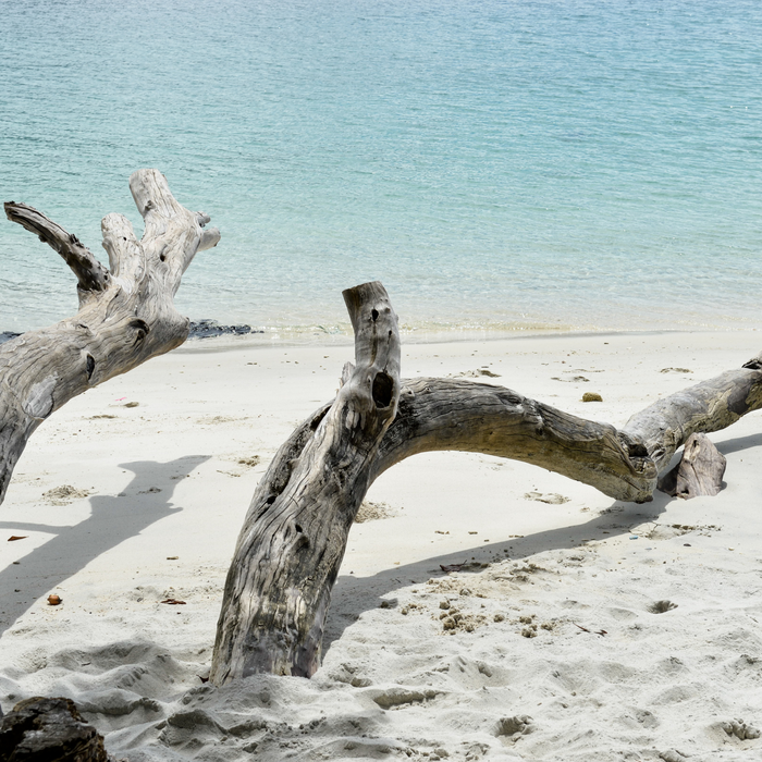 Sea Salt and Driftwood Fragrance Oil - MakeItNatural