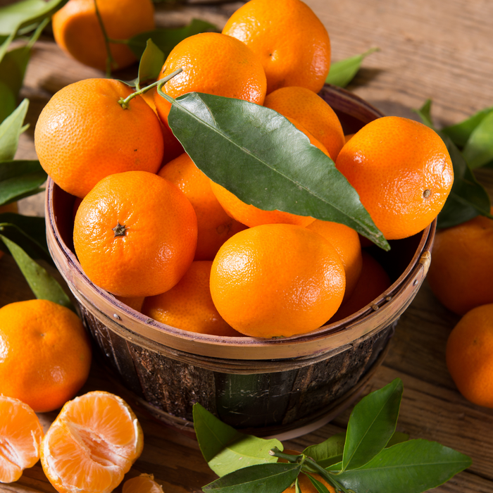 Tangerine Essential Oil - MakeItNatural