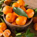 Tangerine Essential Oil - MakeItNatural